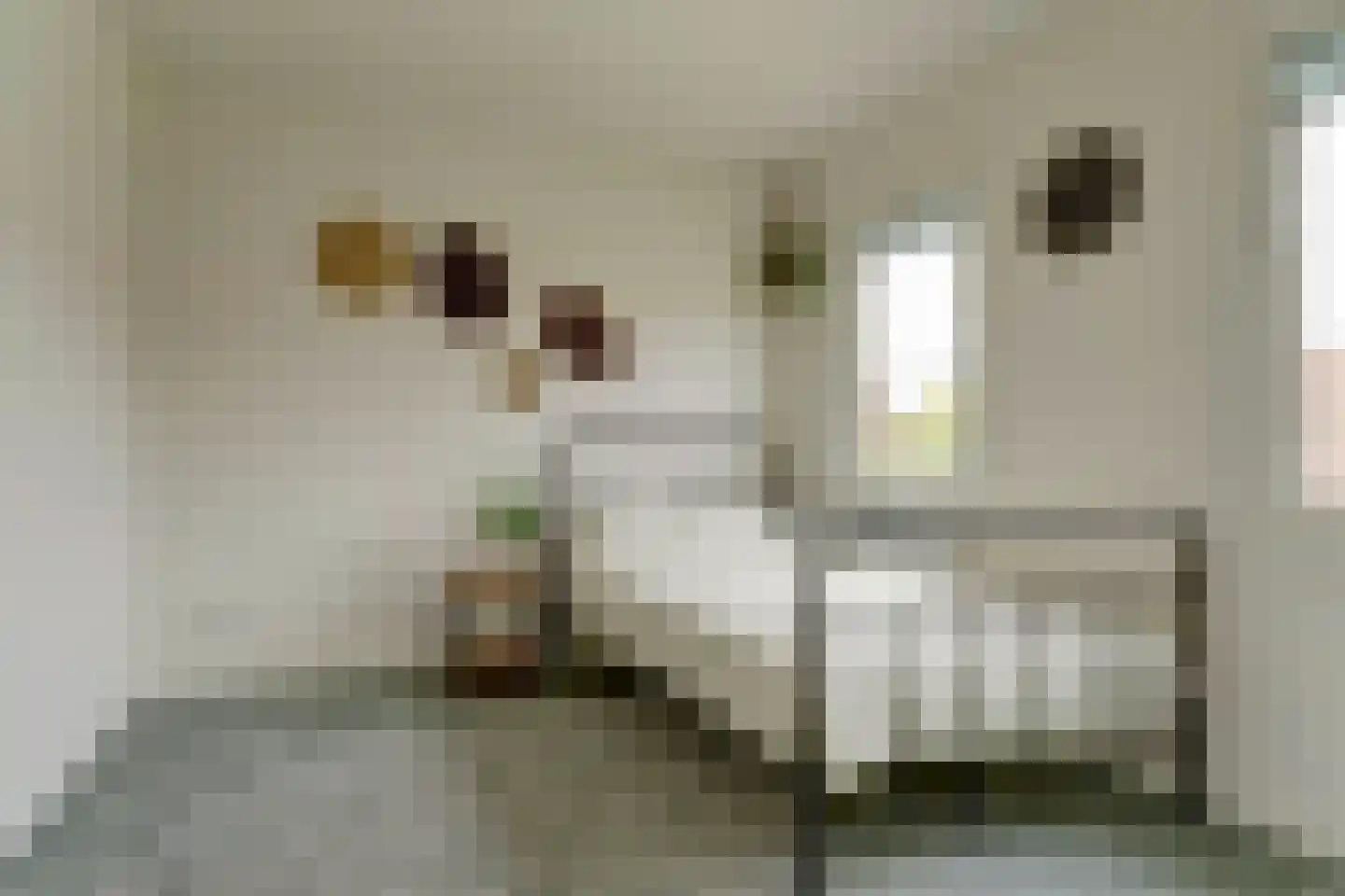 Grote Molenstraat 24 Elst thumbnail 19