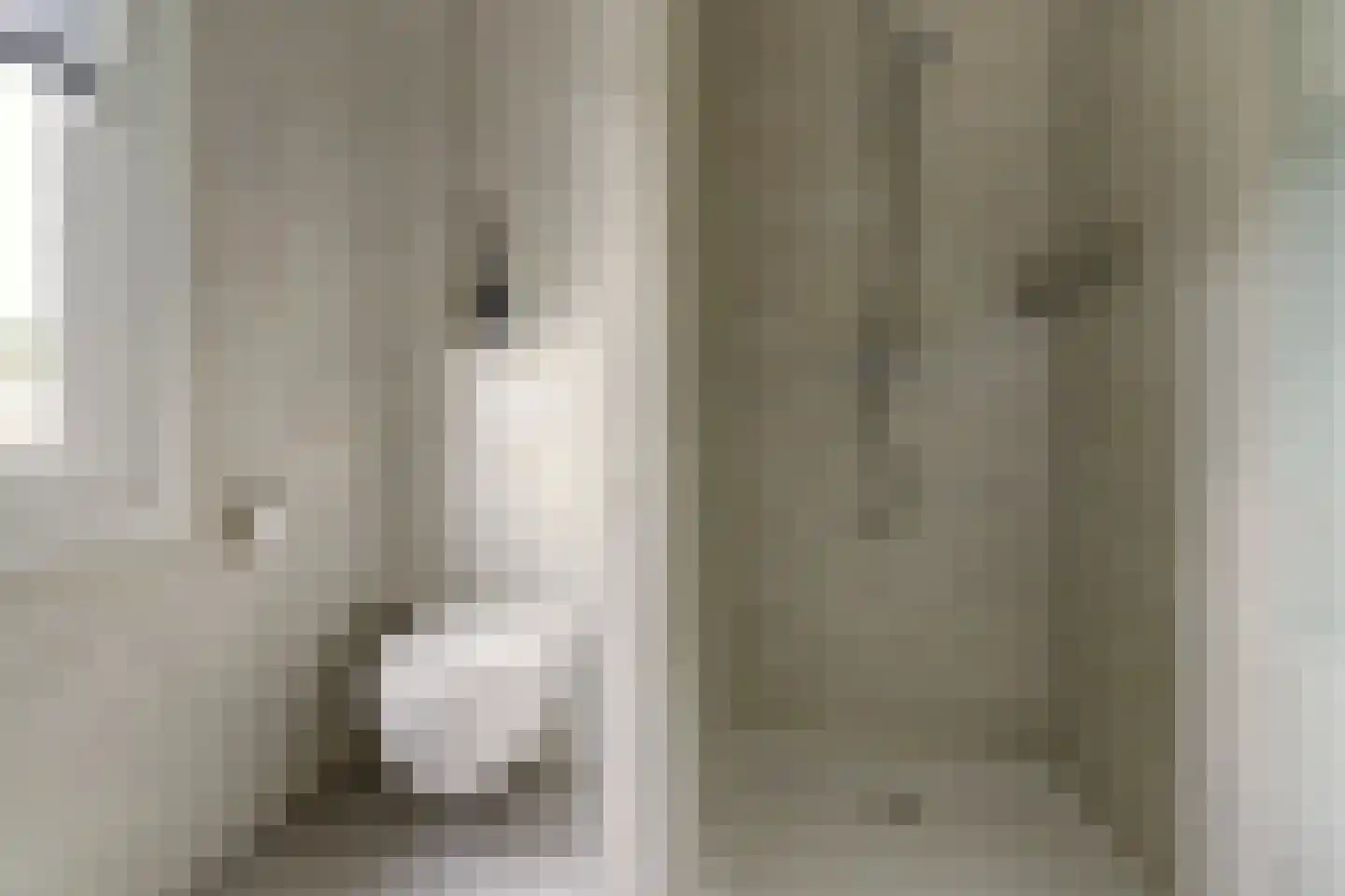 Grote Molenstraat 24 Elst thumbnail 23
