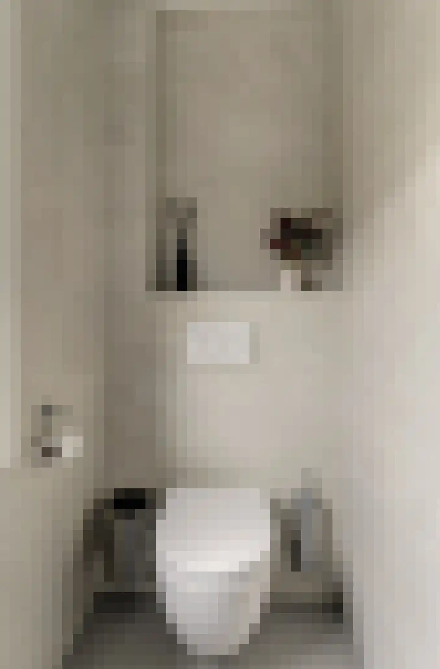 Grote Molenstraat 24 Elst thumbnail 24