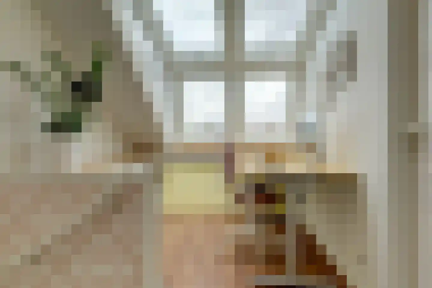 Grote Molenstraat 24 Elst thumbnail 28