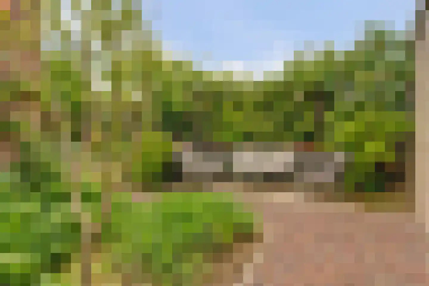 Grote Molenstraat 24 Elst thumbnail 33