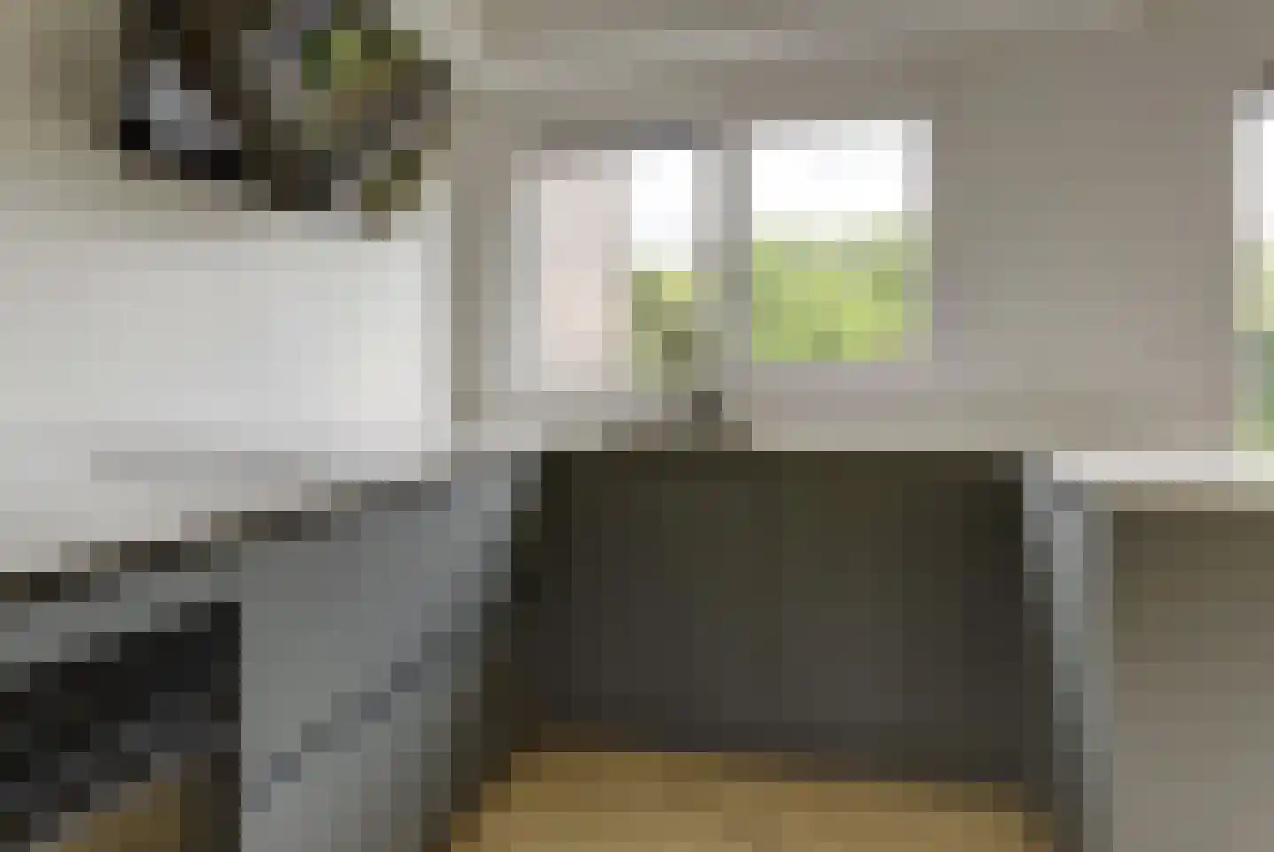 Grote Molenstraat 24 Elst thumbnail 8