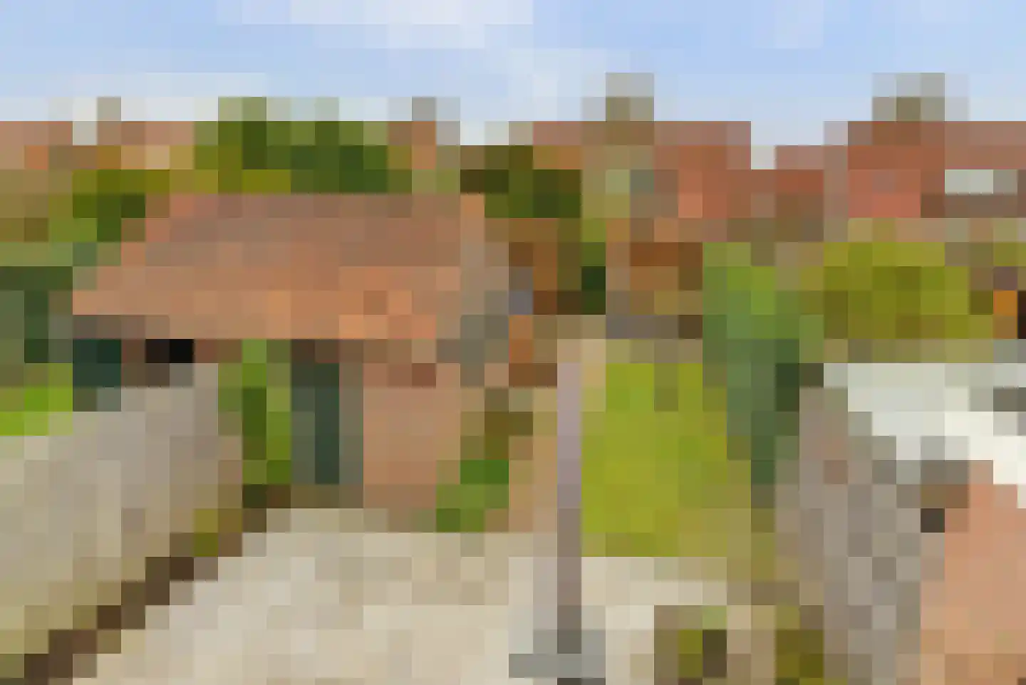Grote Molenstraat 25 Elst thumbnail 22