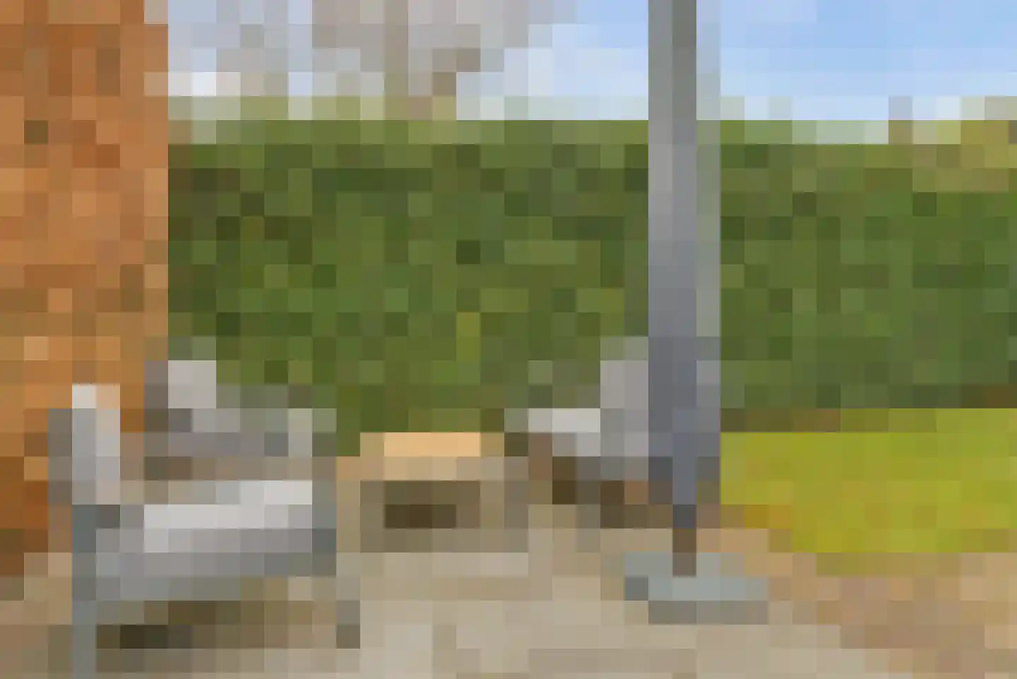 Grote Molenstraat 25 Elst thumbnail 27