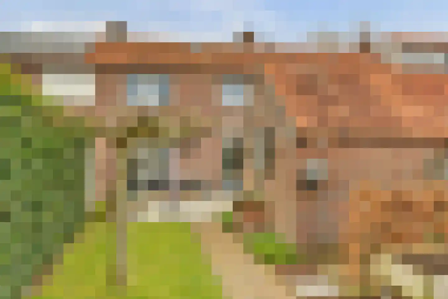 Grote Molenstraat 25 Elst thumbnail 28