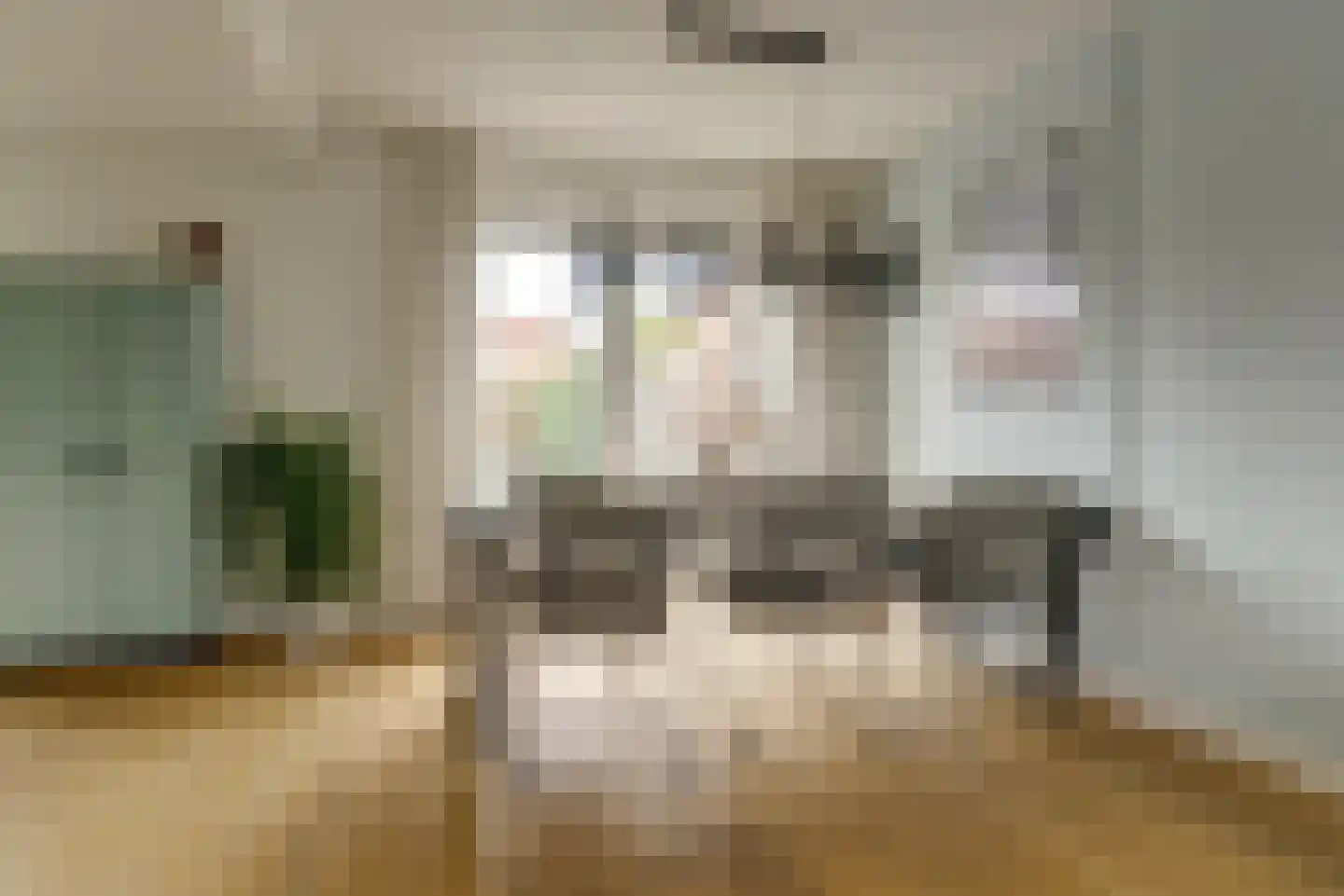 Grote Molenstraat 25 Elst thumbnail 7