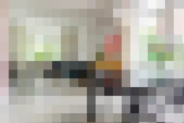 Grote Molenstraat 71 Elst thumbnail 13