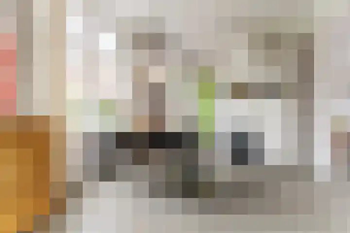Grote Molenstraat 71 Elst thumbnail 14