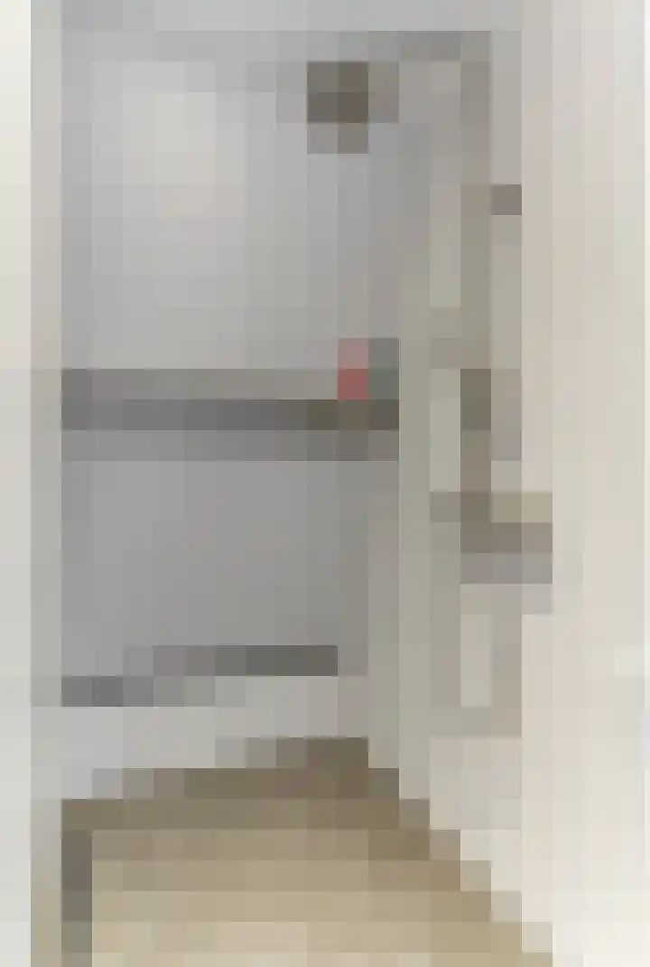 Grote Molenstraat 71 Elst thumbnail 32