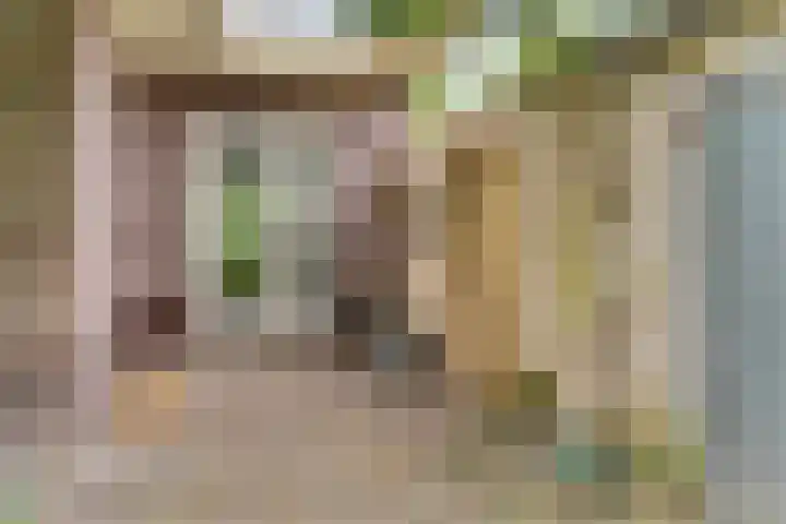 Grote Molenstraat 71 Elst thumbnail 33