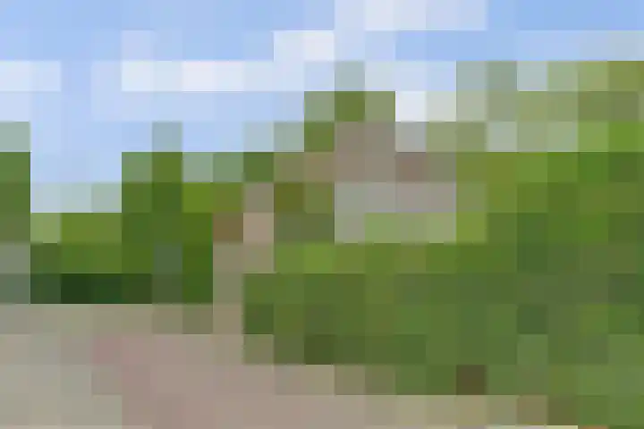 Grote Molenstraat 71 Elst thumbnail 4