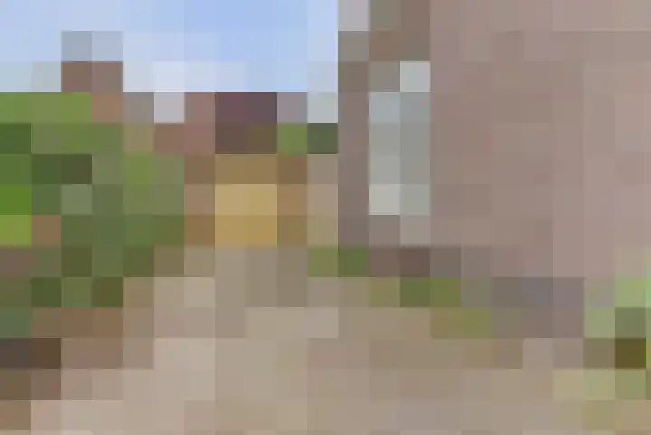 Grote Molenstraat 71 Elst thumbnail 41