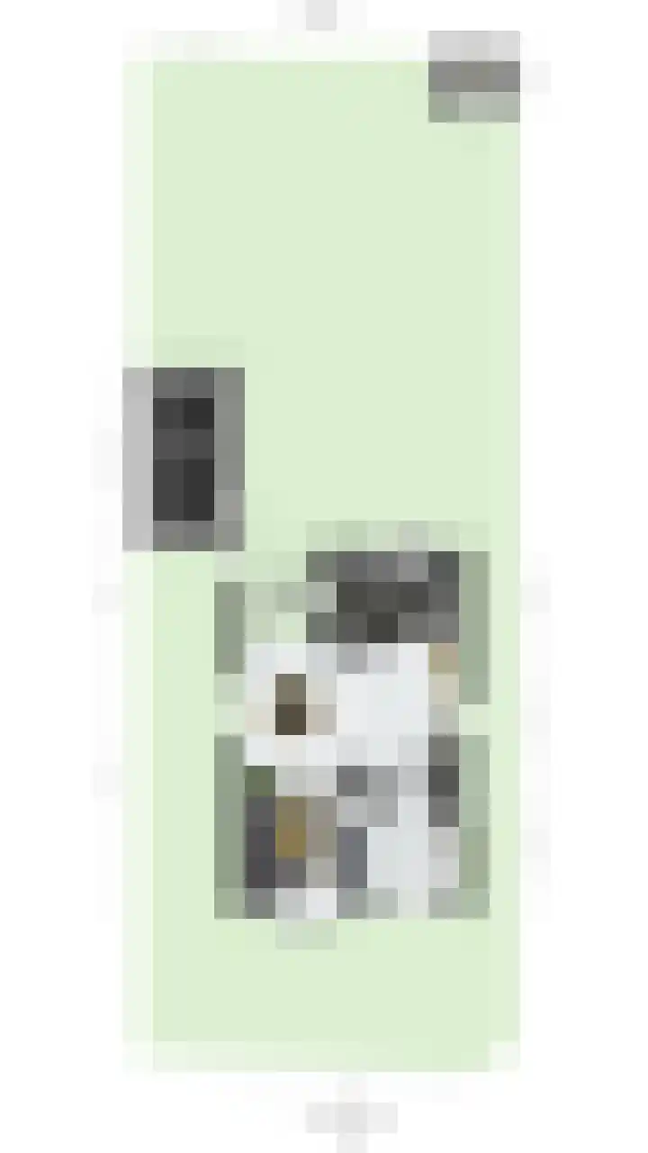 Grote Molenstraat 71 Elst thumbnail 42