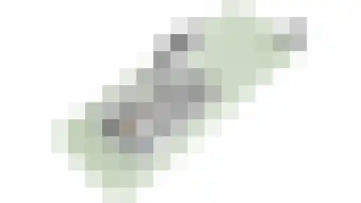 Grote Molenstraat 71 Elst thumbnail 43