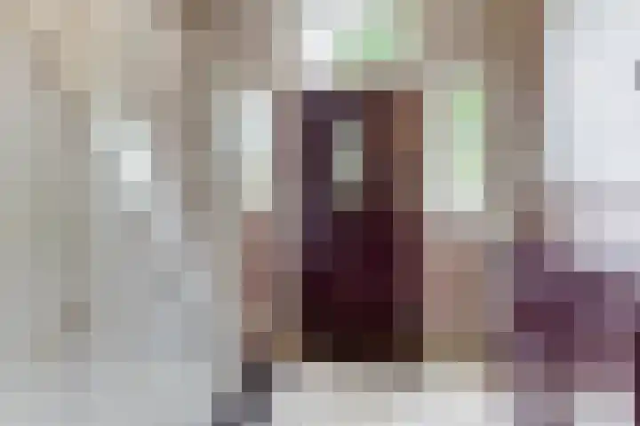 Grote Molenstraat 71 Elst thumbnail 5