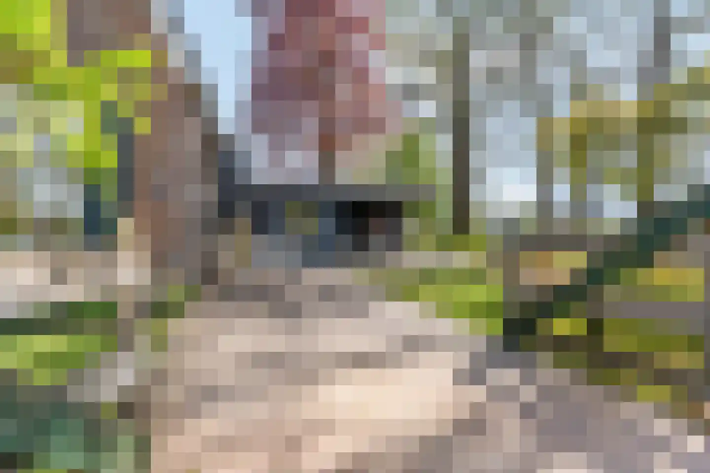 Grote Muntweg 2 Kootwijkerbroek thumbnail 10