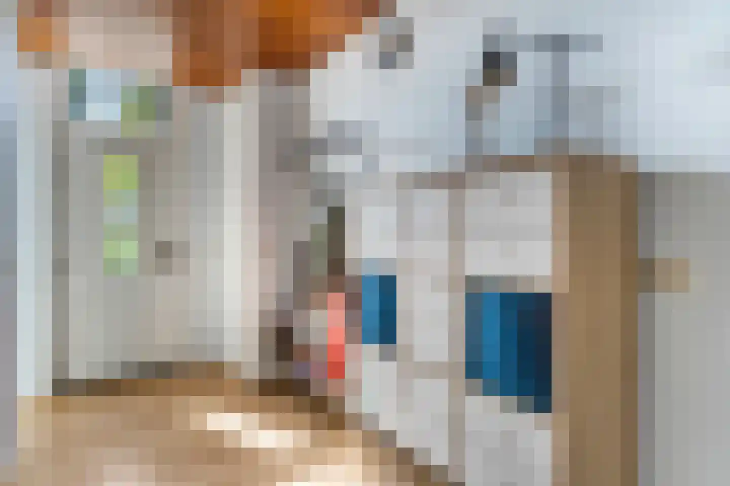 Grote Muntweg 2 Kootwijkerbroek thumbnail 11