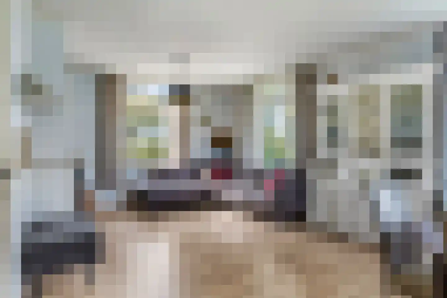 Grote Muntweg 2 Kootwijkerbroek thumbnail 14