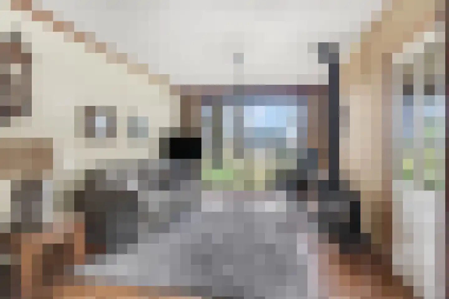 Grote Muntweg 2 Kootwijkerbroek thumbnail 31
