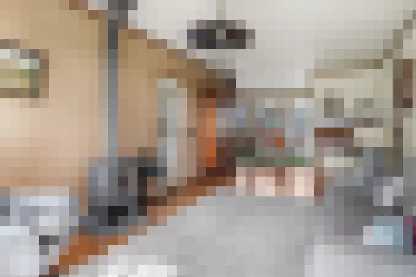Grote Muntweg 2 Kootwijkerbroek thumbnail 32