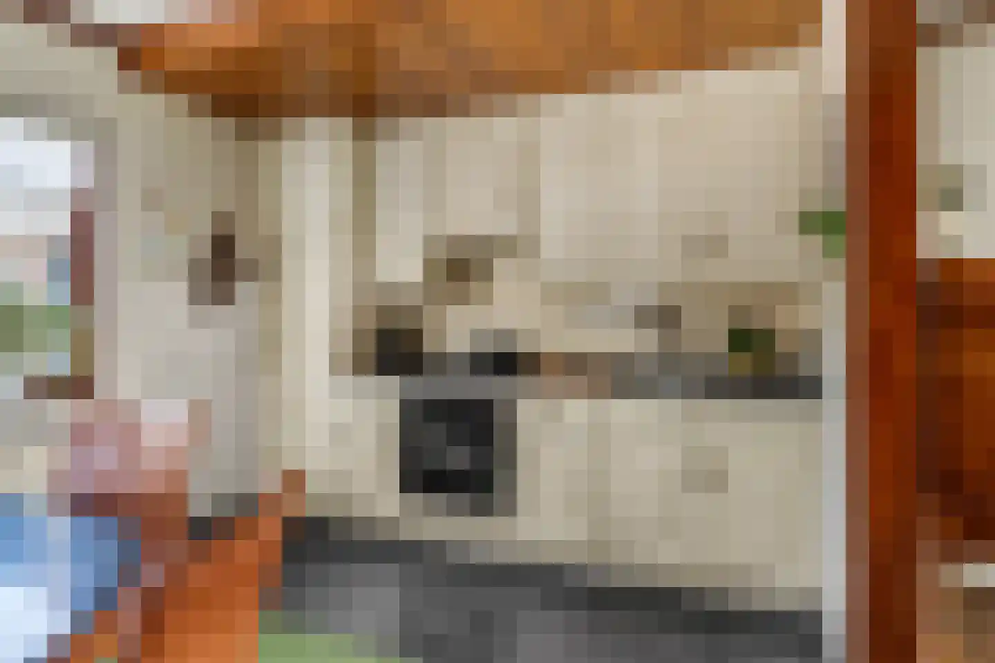 Grote Muntweg 2 Kootwijkerbroek thumbnail 35