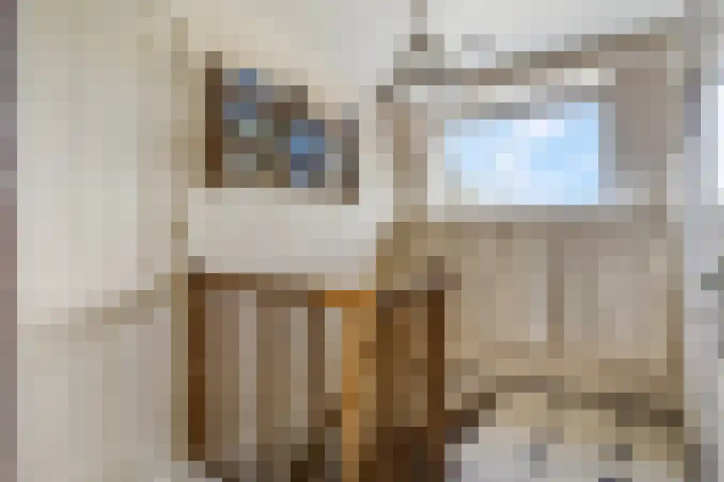 Grote Muntweg 2 Kootwijkerbroek thumbnail 39