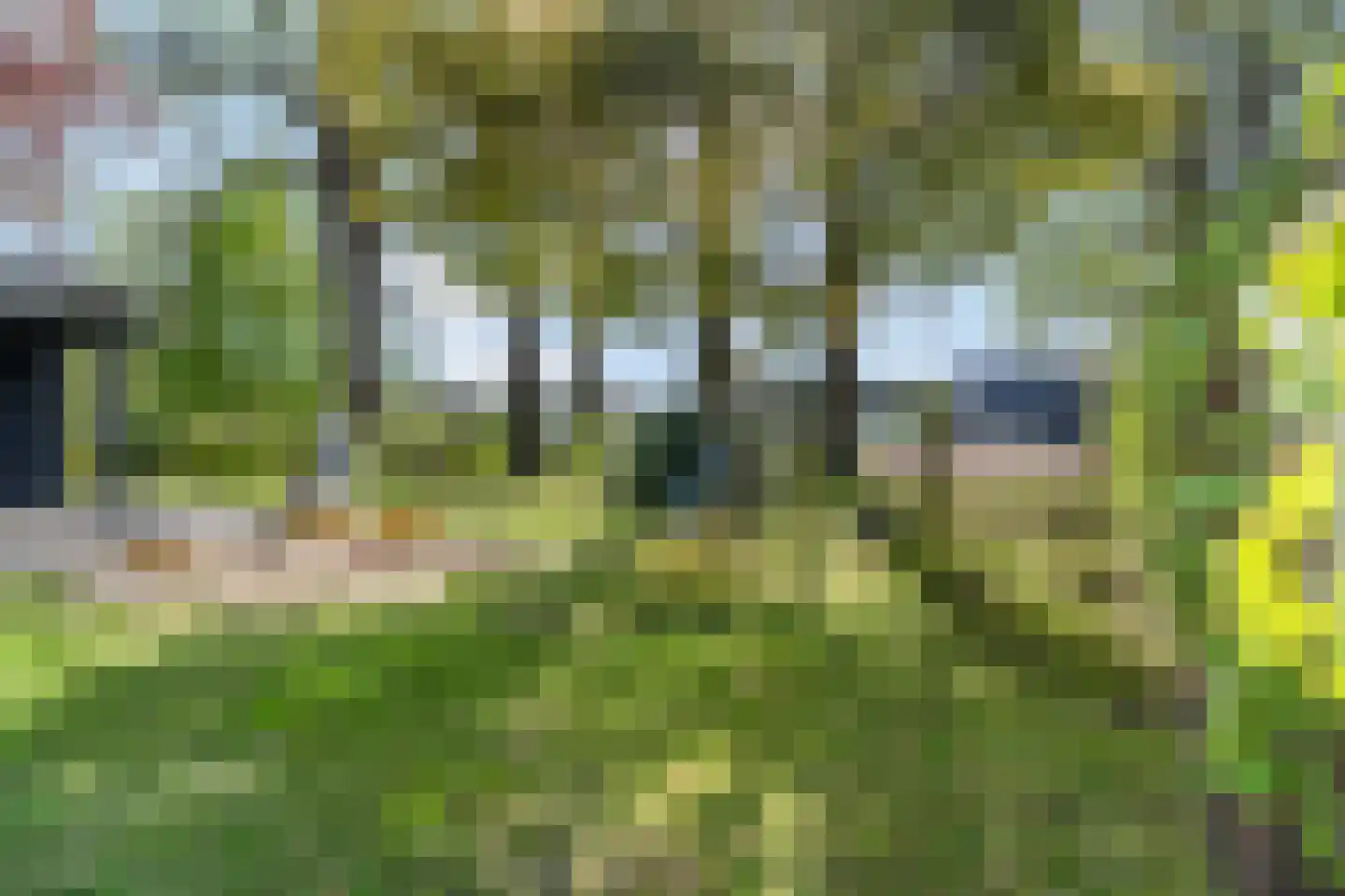 Grote Muntweg 2 Kootwijkerbroek thumbnail 42
