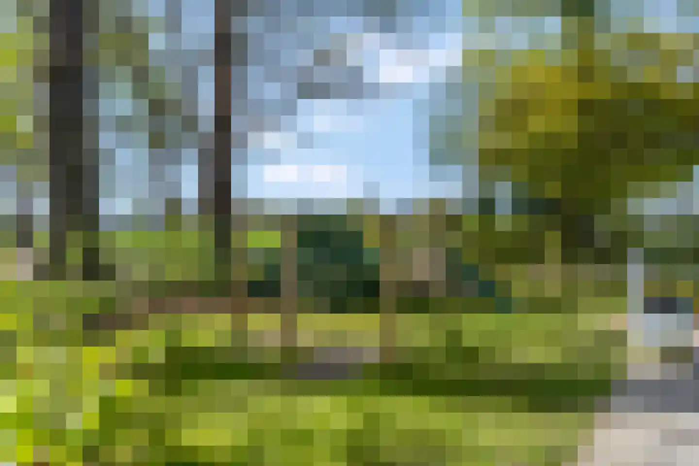Grote Muntweg 2 Kootwijkerbroek thumbnail 43