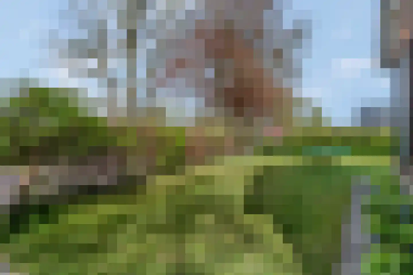 Grote Muntweg 2 Kootwijkerbroek thumbnail 45