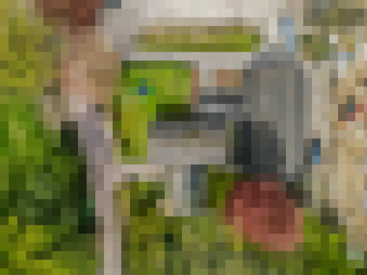 Grote Muntweg 2 Kootwijkerbroek thumbnail 47
