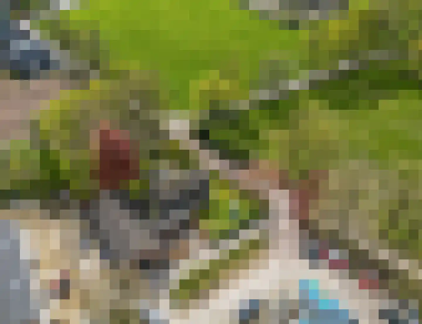 Grote Muntweg 2 Kootwijkerbroek thumbnail 48