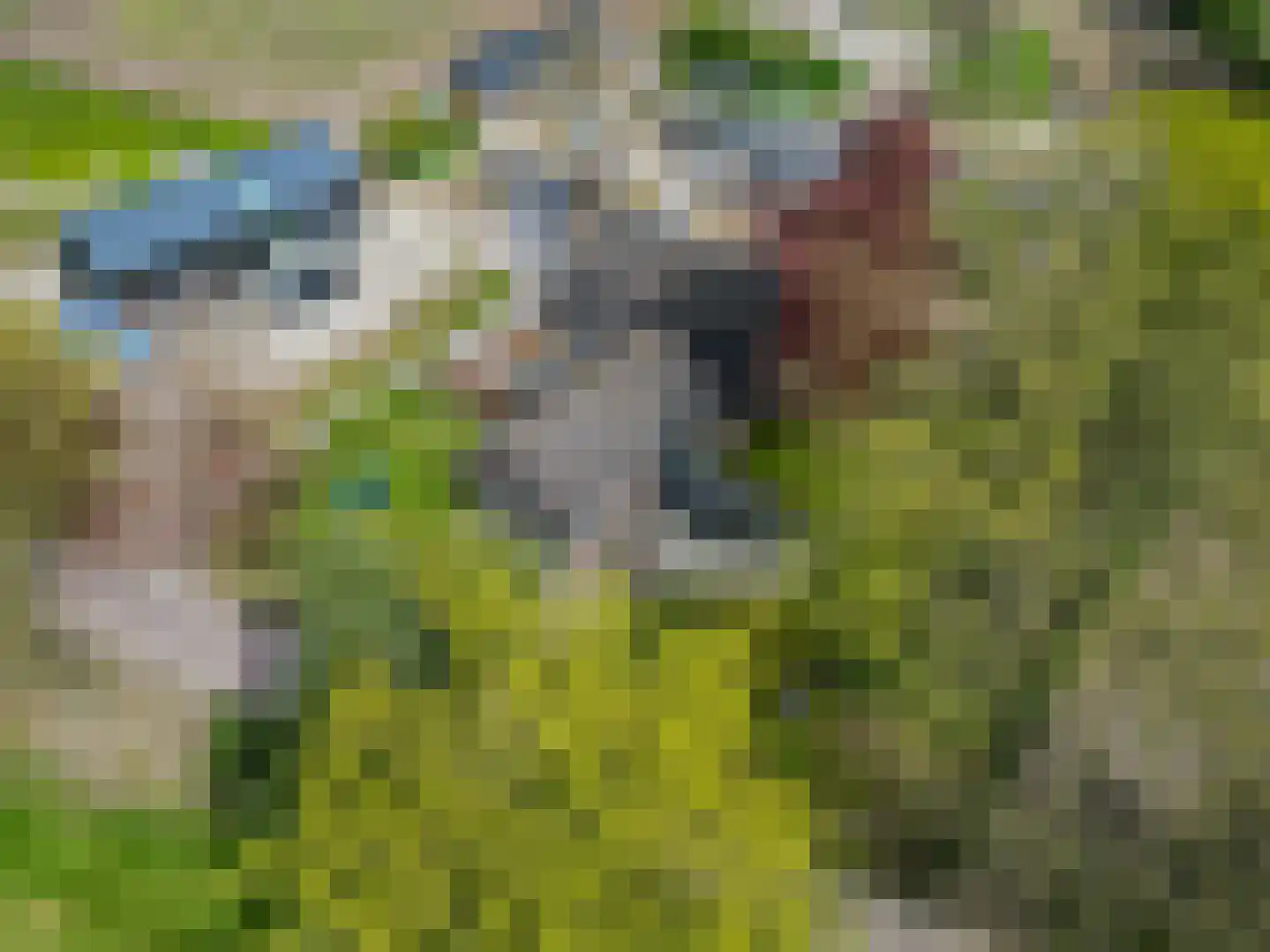 Grote Muntweg 2 Kootwijkerbroek thumbnail 6