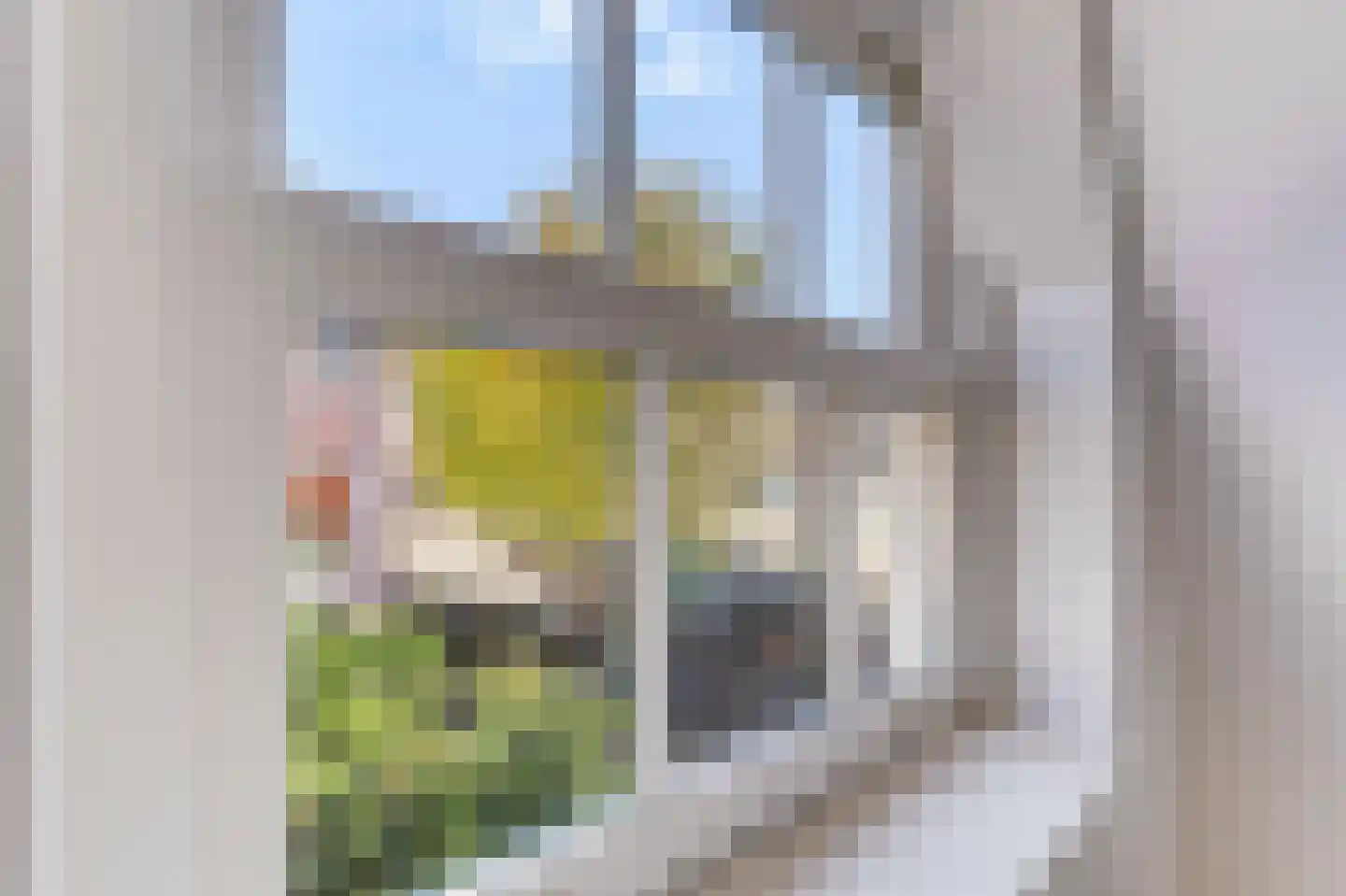 Grote Noord 1 C Hoorn thumbnail 13