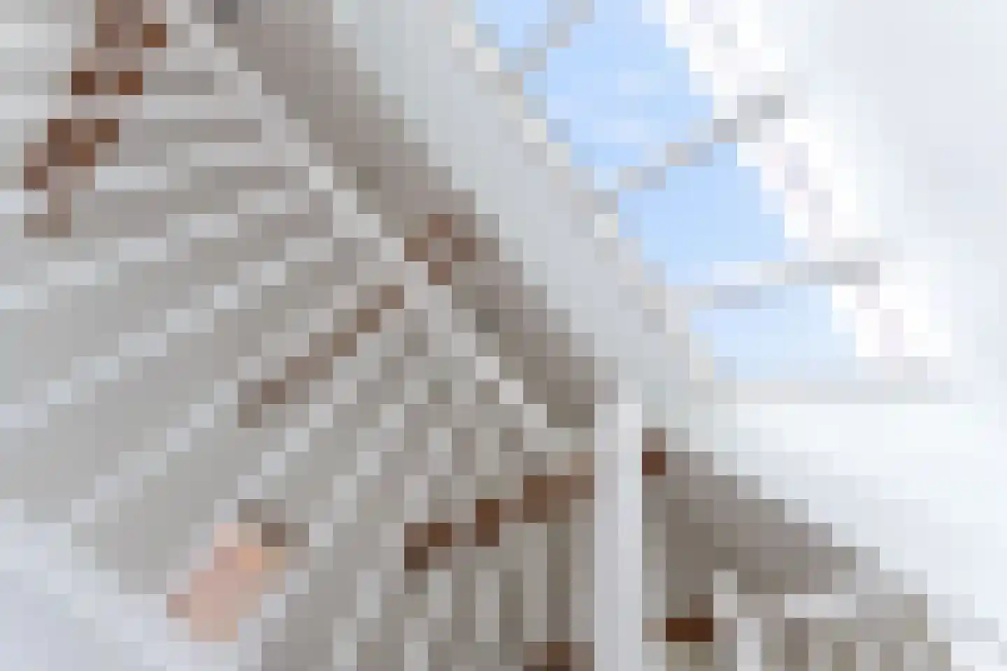 Grote Noord 1 C Hoorn thumbnail 18