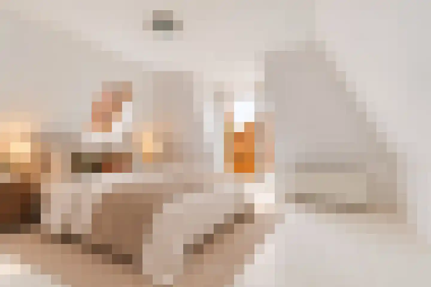 Grote Noord 1 C Hoorn thumbnail 25
