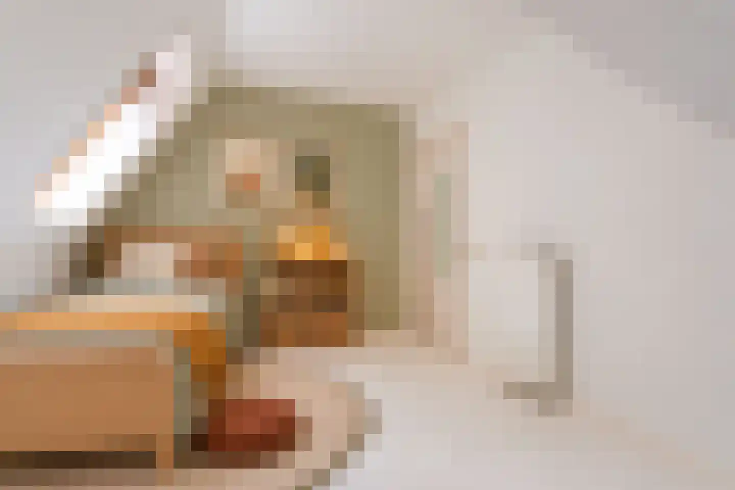 Grote Noord 1 C Hoorn thumbnail 42