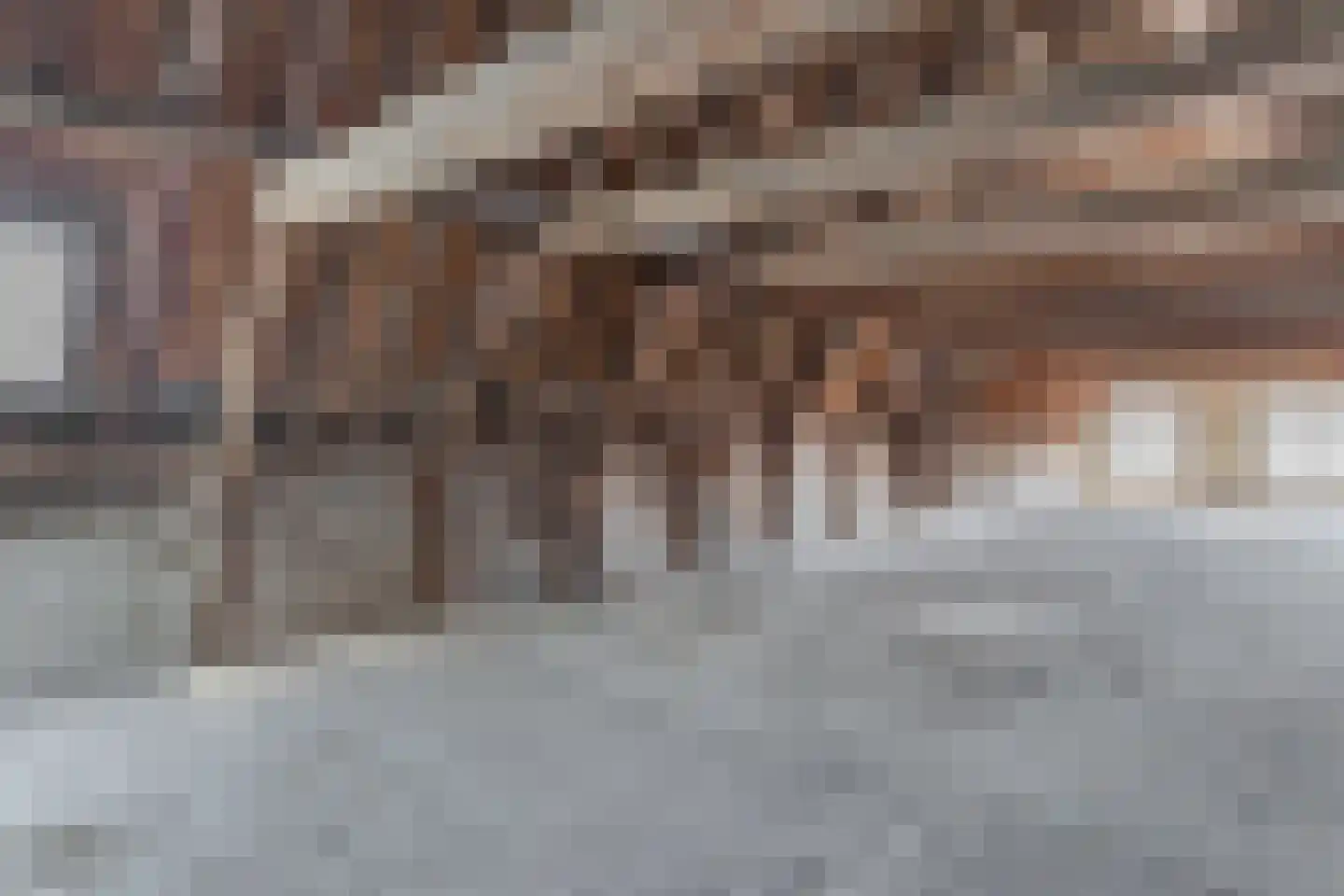 Grote Noord 104 Hoorn thumbnail 15