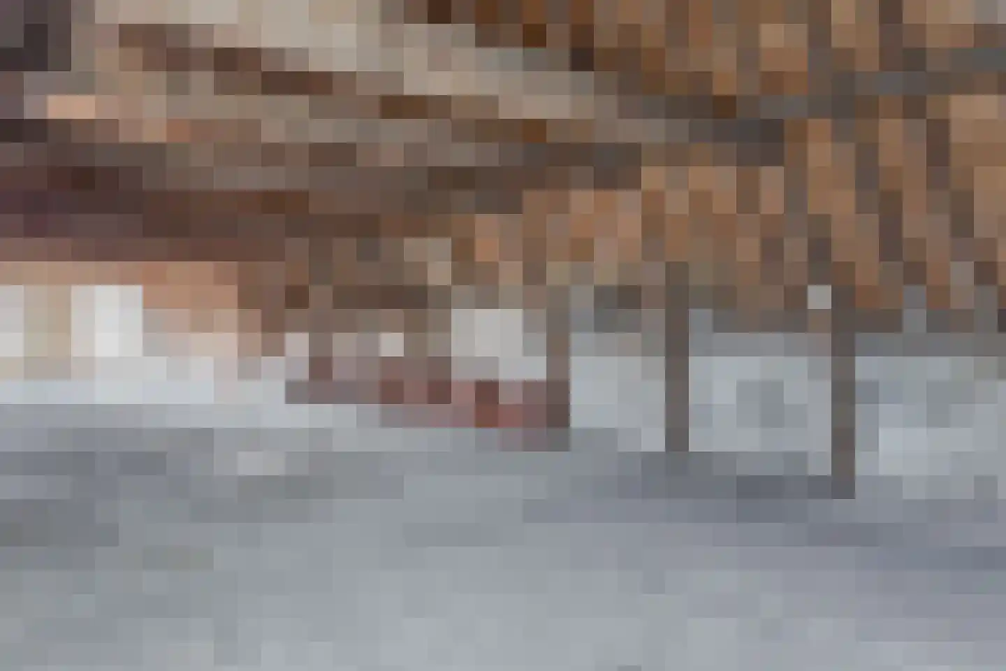 Grote Noord 104 Hoorn thumbnail 16