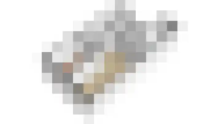 Grote Noord 14 A Hoorn thumbnail 41