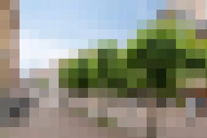 Grote Noord 14 C Hoorn thumbnail 21