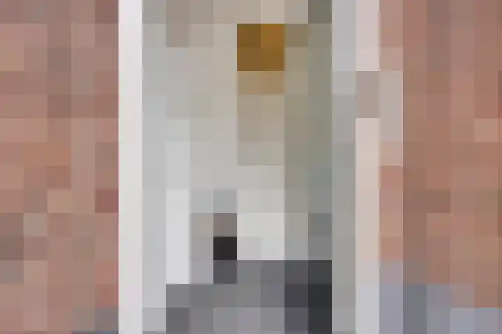 Grote Noord 14 C Hoorn thumbnail 9