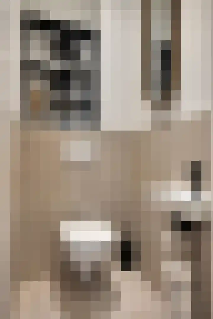 Grote Noord 14 Hoorn thumbnail 22