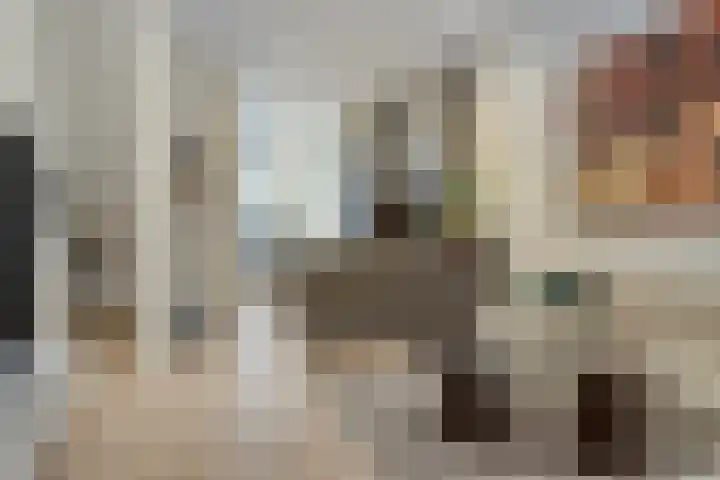 Grote Noord 14 Hoorn thumbnail 5