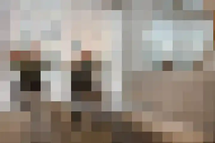 Grote Noord 14 Hoorn thumbnail 7