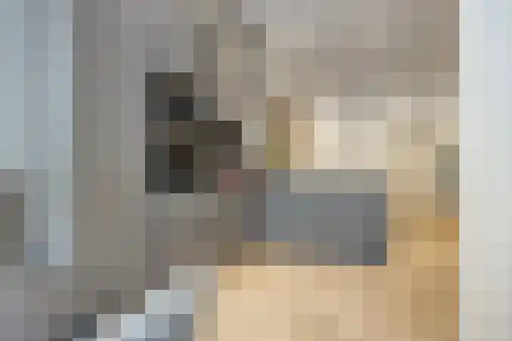 Grote Noord 14 Hoorn thumbnail 9