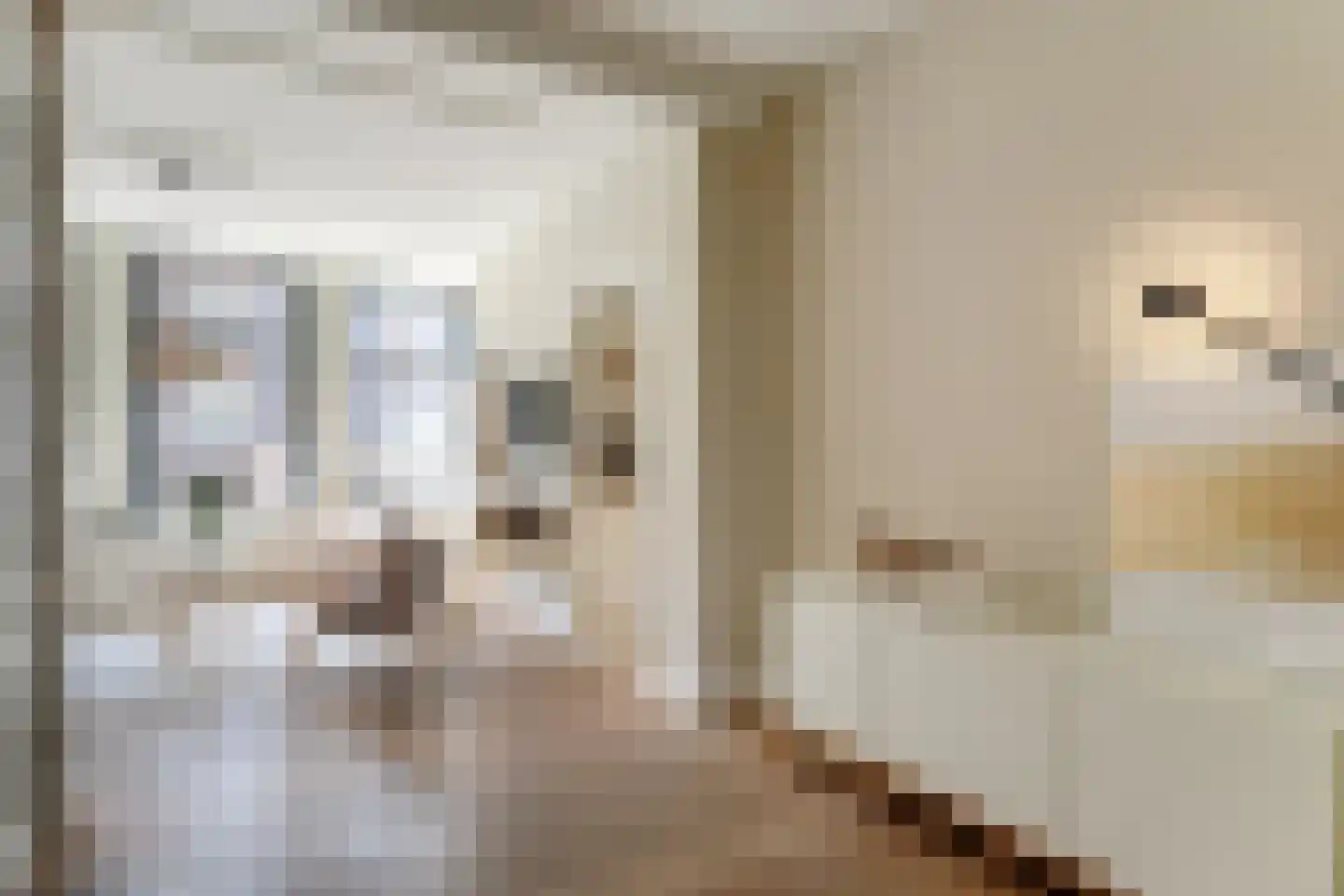 Grote Noord 8 Hoorn thumbnail 10