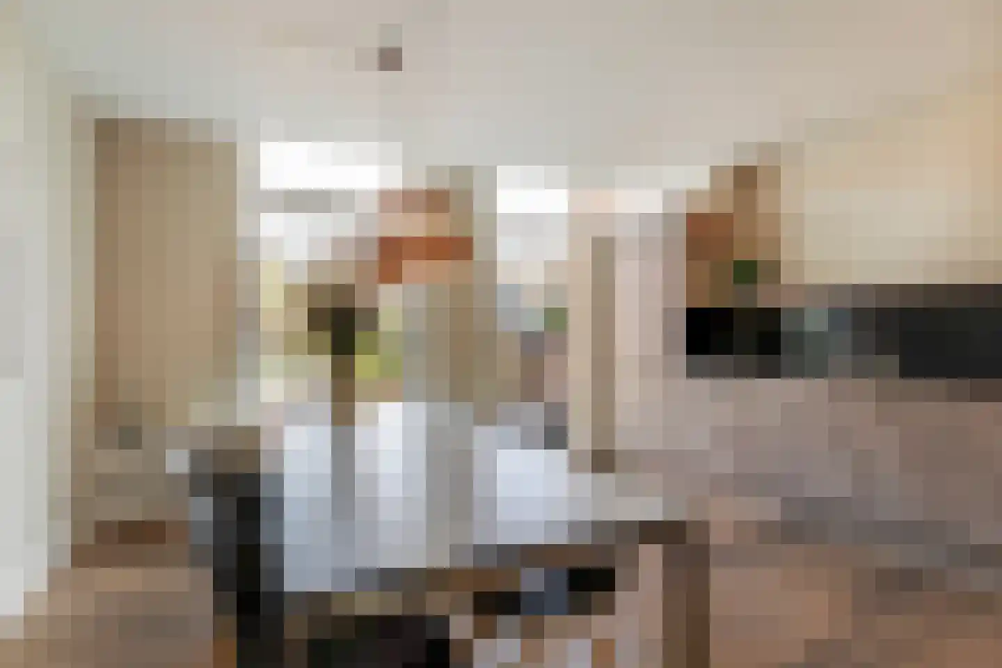 Grote Noord 8 Hoorn thumbnail 17