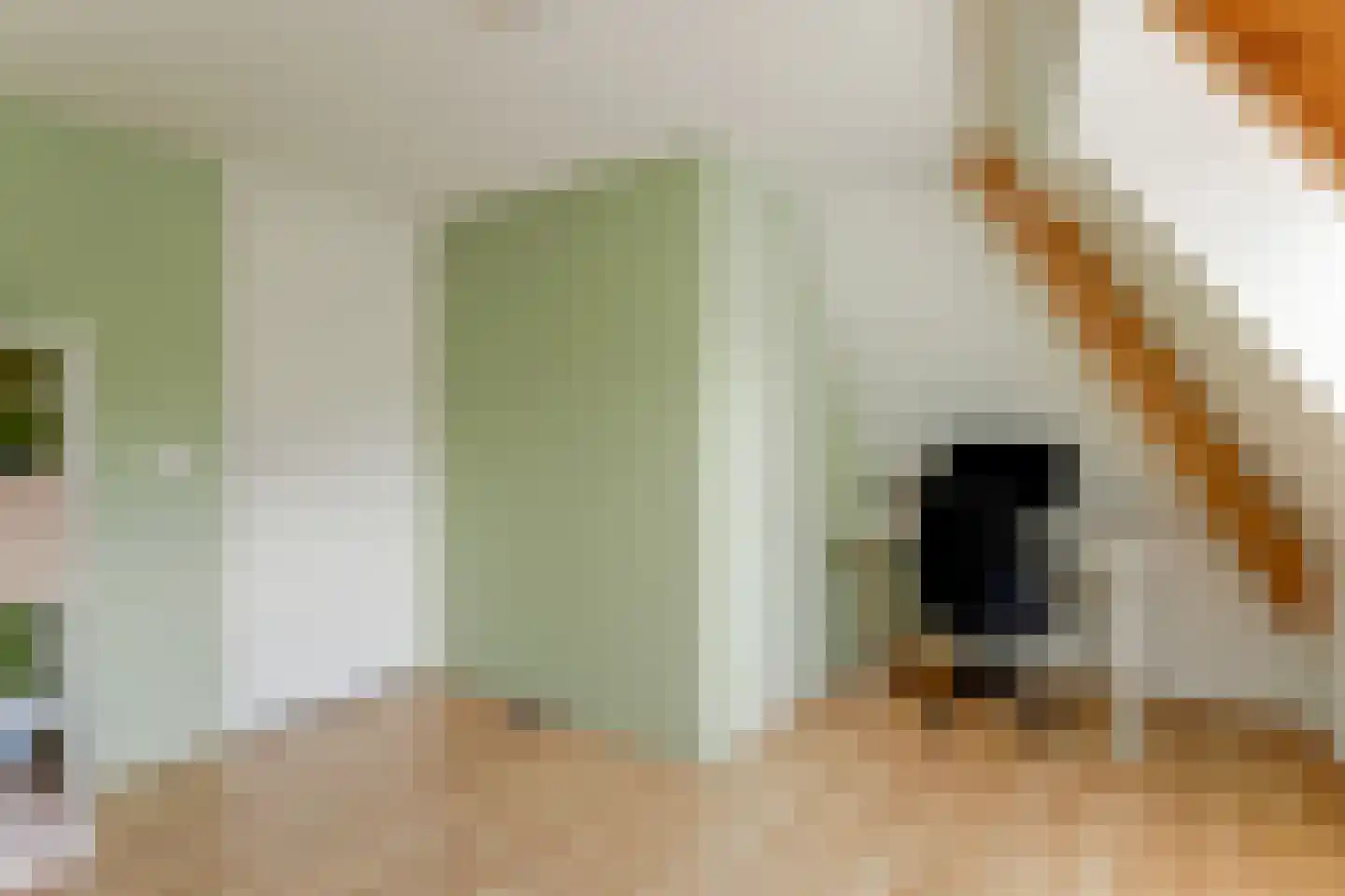 Grote Noord 8 Hoorn thumbnail 28