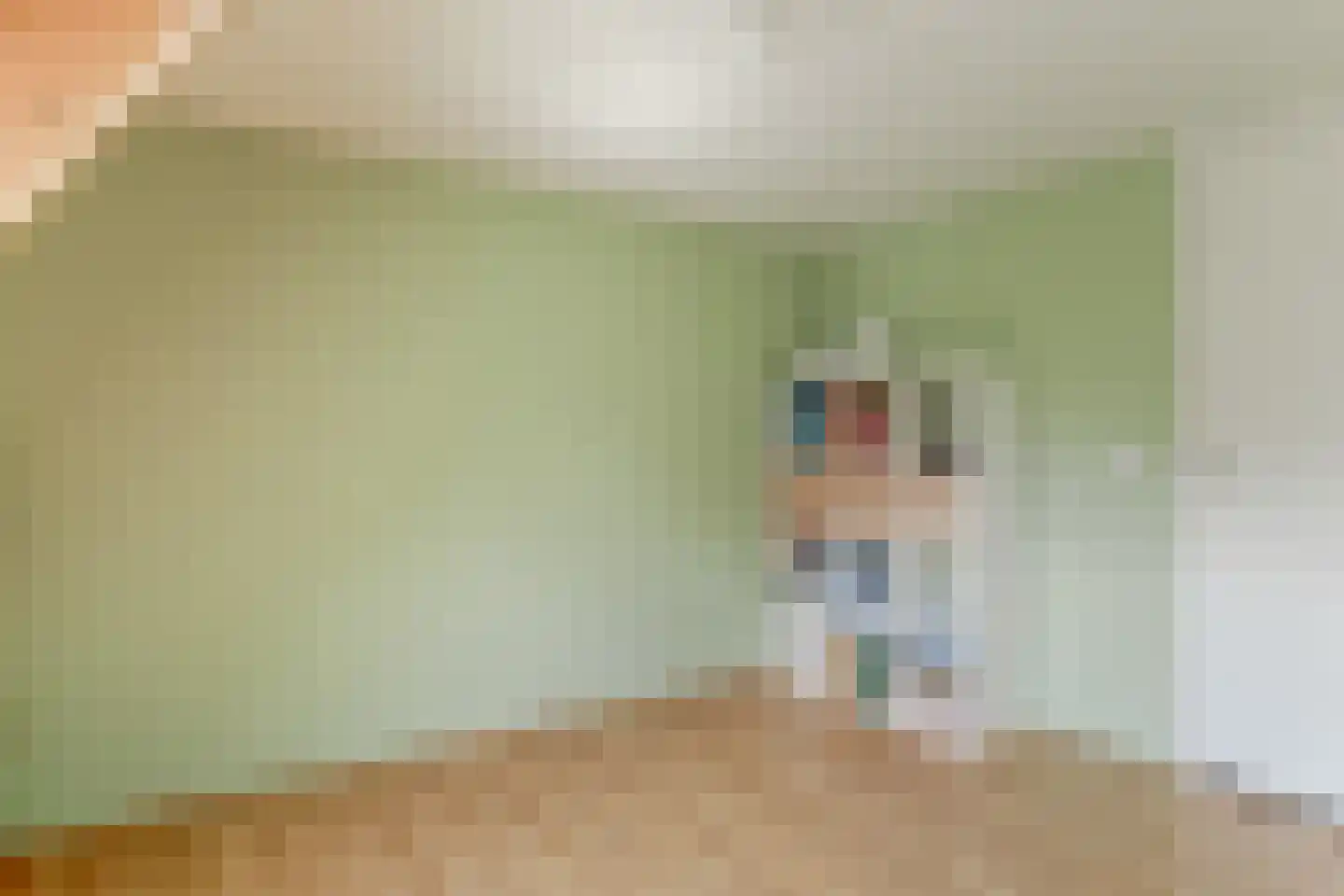 Grote Noord 8 Hoorn thumbnail 29