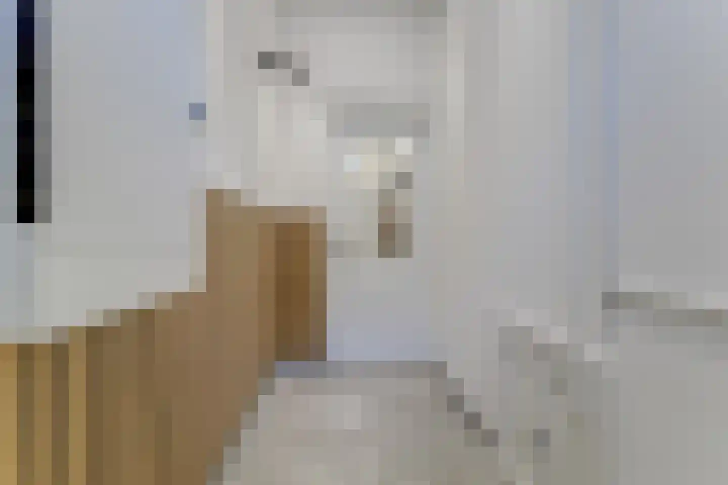 Grote Noord 8 Hoorn thumbnail 5
